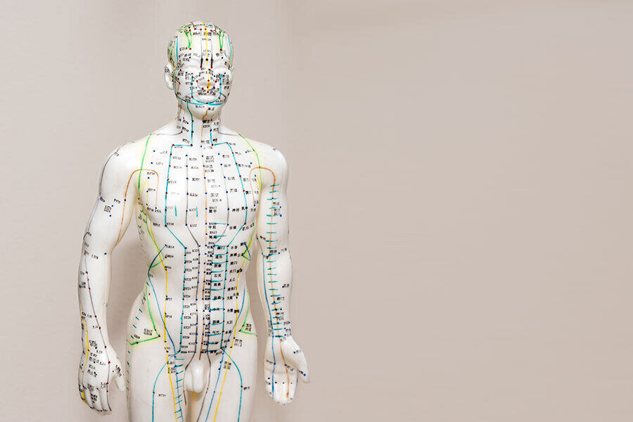 Meridian-outlined manikin, illustrating meridian points and energy pathways