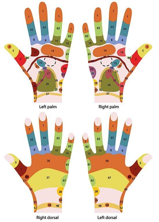 Discover Reflexology - A detailed reflexology hand chart illustrating pressure points and corresponding body areas for holistic well-being.