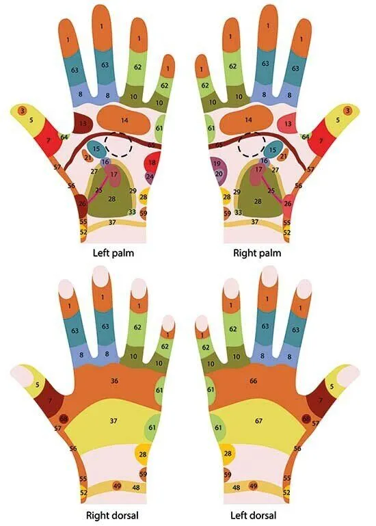 Discover Reflexology - A detailed reflexology hand chart illustrating pressure points and corresponding body areas for holistic well-being.