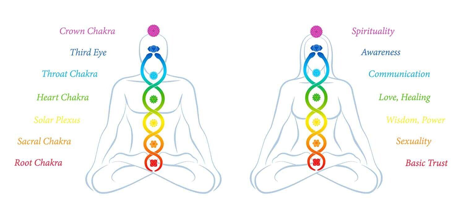 An illustration depicting a man and a woman seated side by side, with a series of seven vibrant, circular energy centres running along their spines. These energy centres, known as chakras